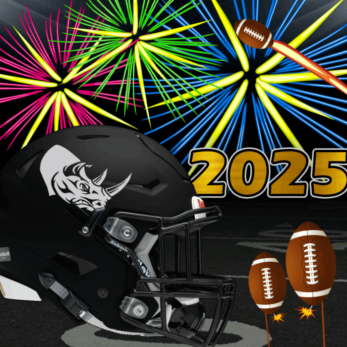Bye Bye 2024